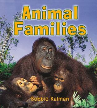 Paperback Animal Families Book