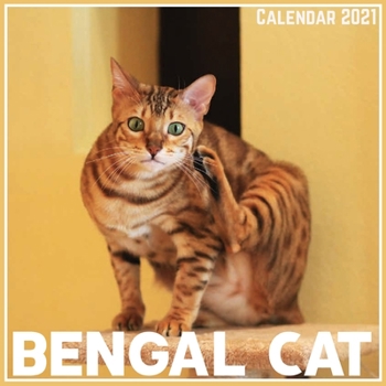 Paperback Bengal cat Calendar 2021: Official Bengal Cat Calendar 2021, 12 Months Book