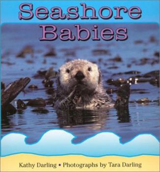 School & Library Binding Seashore Babies Book