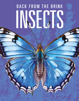 Insects: Back from the Brink