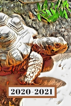 Brown & Grey Turtle Tortoise Tortuga Lover's Dated Weekly  2 year Calendar Planner: Cute Small Pocket/Purse Size To-Do Lists,Tasks, Notes, ... - Dec 2021, 25 months Weekly Planner Book)