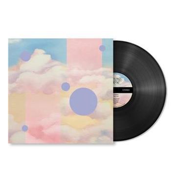 Vinyl We Fell In Turn Book