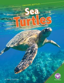 Sea Turtles - Book  of the Amazing Reptiles