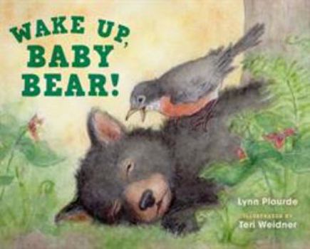 Hardcover Wake Up, Baby Bear! Book