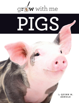 Seedlings: Pigs