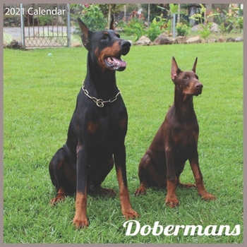 Dobermans 2021 Calendar: Official Doberman Dogs 2021 Wall Calendar