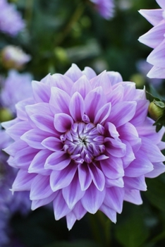 Journal: 150 Dot Grid Sheets, 6x9 Inches, Inspirational Flower, Plan Your Day and Organize Your Life, Tracker, Productivity Diary, Notebook (PURPLE)