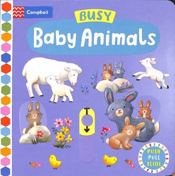 Board book Busy Baby Animals (Campbell Busy Books) Book