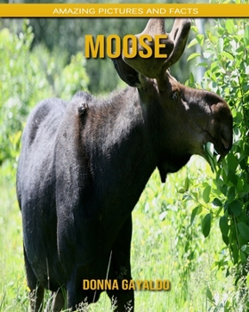Paperback Moose: Amazing Pictures and Facts Book