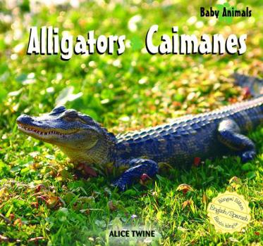 Library Binding Alligators / Caimanes Book