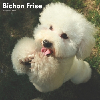 Paperback Bichon Frise Calendar 2021: Wall Calendar 12 Month, Dog Breed Calendar 2021 Book