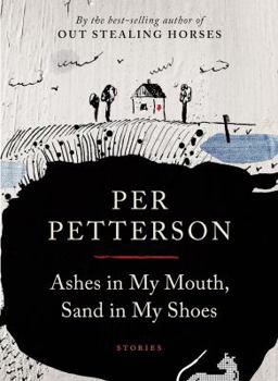 Paperback Ashes in My Mouth, Sand in My Shoes: Stories Book