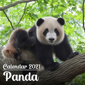 Paperback Calendar 2021 Panda: Cute Panda Photos Monthly Mini Calendar - Small Size Book