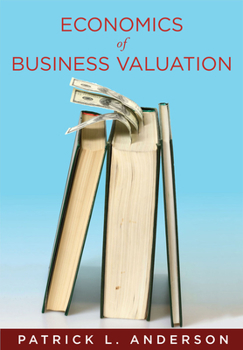 Hardcover The Economics of Business Valuation: Towards a Value Functional Approach Book