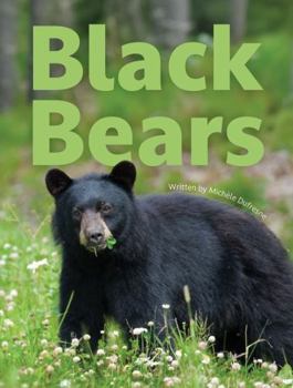 Black Bears