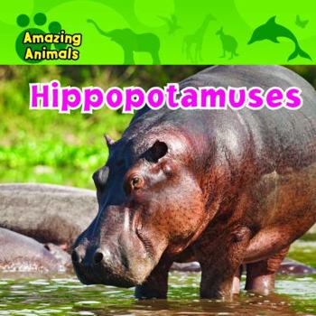 Hippopotamuses - Book  of the Amazing Animals