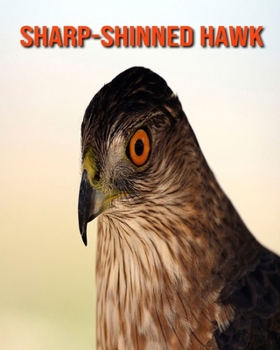 Sharp-Shinned Hawk: Amazing Facts about Sharp-Shinned Hawk