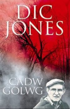 Paperback Cadw Golwg (Welsh Edition) [Welsh] Book