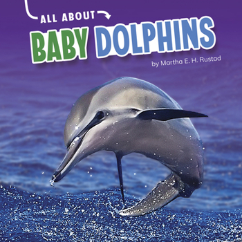 Hardcover All about Baby Dolphins Book