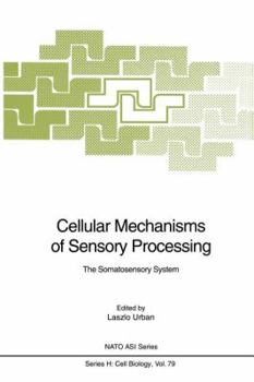 Paperback Cellular Mechanisms of Sensory Processing: The Somatosensory System Book