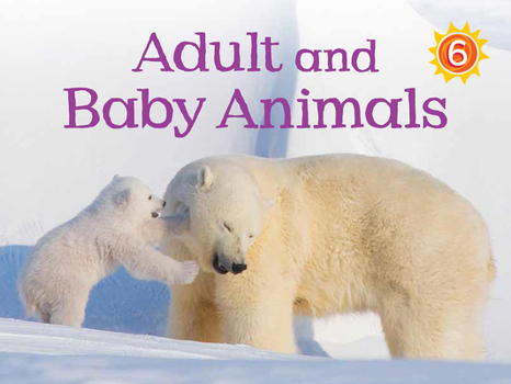 Paperback Adult and Baby Animals: English Edition Book