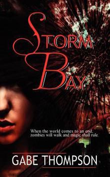 Paperback Storm Bay Book