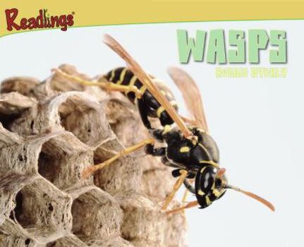 Paperback Wasps Book