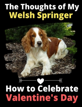 The Thoughts of My Welsh Springer: How to Celebrate Valentine's Day