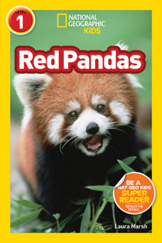 Red Pandas - Book  of the National Geographic Readers