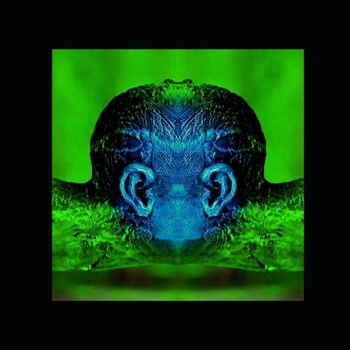 Paperback Anonemis VI Book