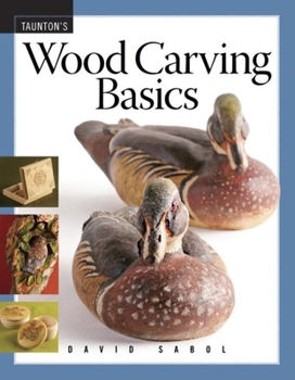 Paperback Wood Carving Basics Book