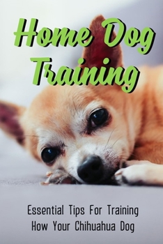 Paperback Home Dog Training: Essential Tips For Training How Your Chihuahua Dog: Old Chihuahua Health Problems Book