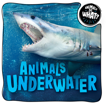 Library Binding Animals Underwater Book