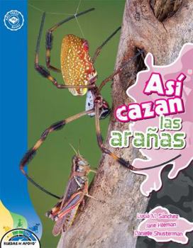 Asi Cazan Las Aranas