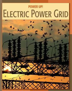 Paperback Electric Power Grid Book
