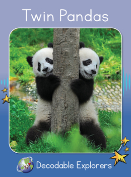 Paperback Twin Pandas: Skills Set 1 Book