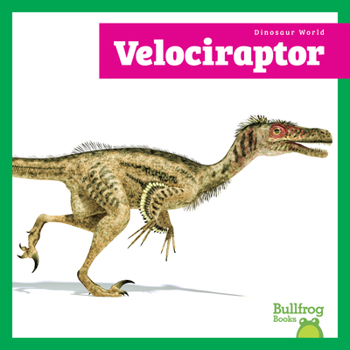 Velociraptor