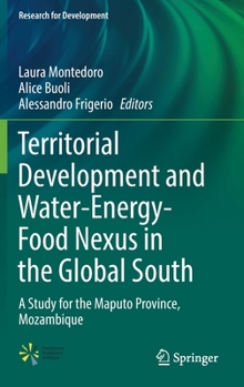 Territorial Development and Water-Energy-Food Nexus in the Global South: A Study for the Maputo Province, Mozambique