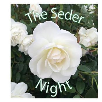 Paperback The Seder Night Book