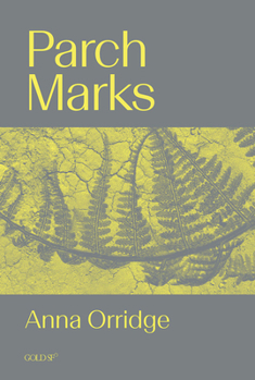 Paperback Parch Marks Book