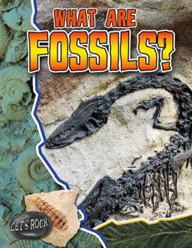 Paperback What Are Fossils? Book
