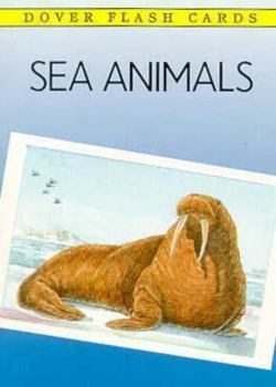 Paperback Sea Animals Cards Book