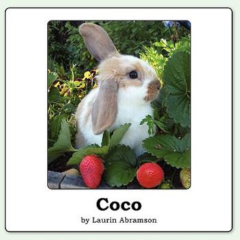 Paperback Coco Book