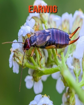 Paperback Earwig: Amazing Photos & Fun Facts Book About Earwig For Kids Book