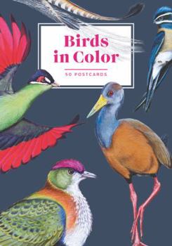 Card Book Birds in Color 50 Postcards Book