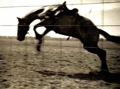 Hardcover Bygone Days: Photographs By John Penor And Family Book