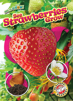 Library Binding See Strawberries Grow Book