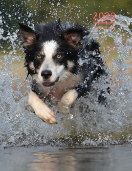 2020 A4 Diary Week To View Planner For All Occasions: | Year Planner For Business, Office, Home, University, College, School, Appointments, Organizer.