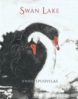 Hardcover Swan Lake Book