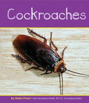 Cockroaches - Book  of the Insects